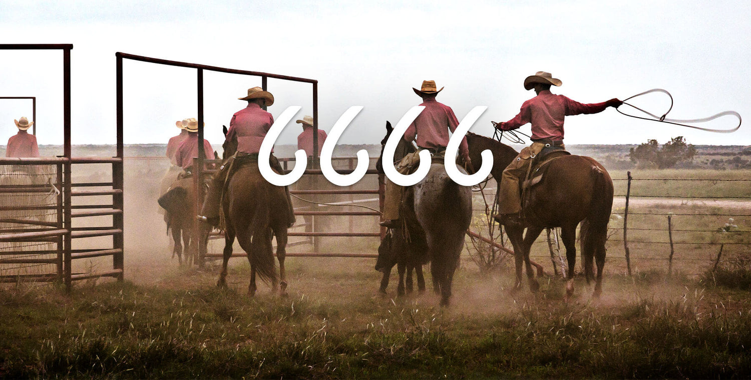 Four Sixes Grit & Glory 6666 - 6666gritandglory